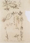 Johann Wolfgang von Goethe Leaf shapes oil painting on canvas